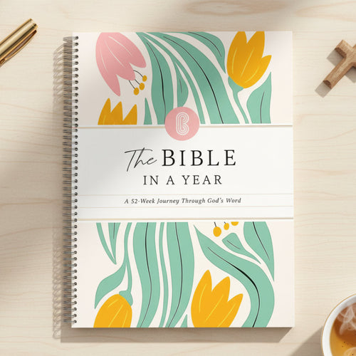 The Bible in a Year - 52 - Week Guided Study Bible (A4)