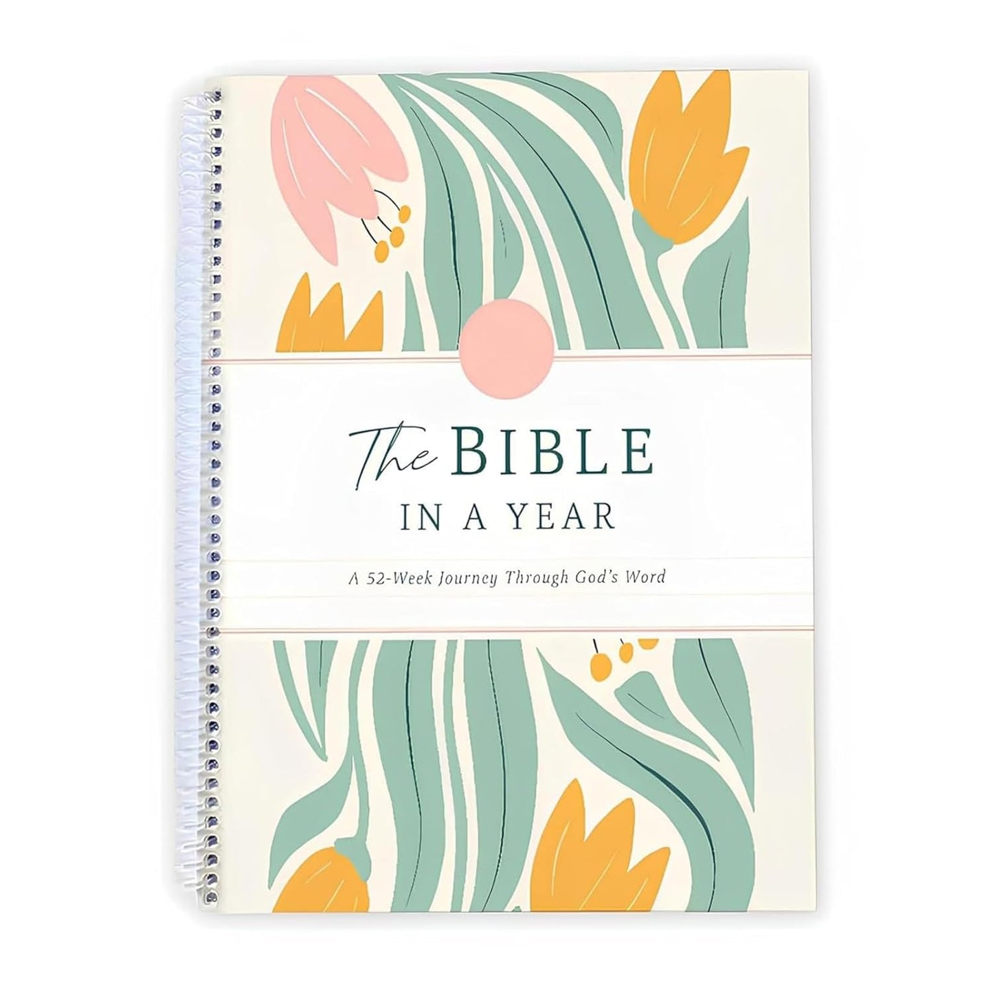 The Bible in a Year - 52 - Week Guided Study Bible (A4)
